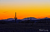 Sunset at Sonora Desert
