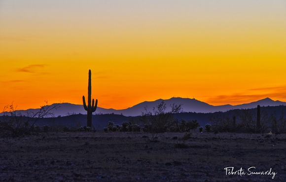 Sunset at Sonora Desert