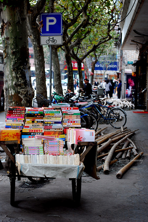 Shanghai Streets: travelling bookstore!