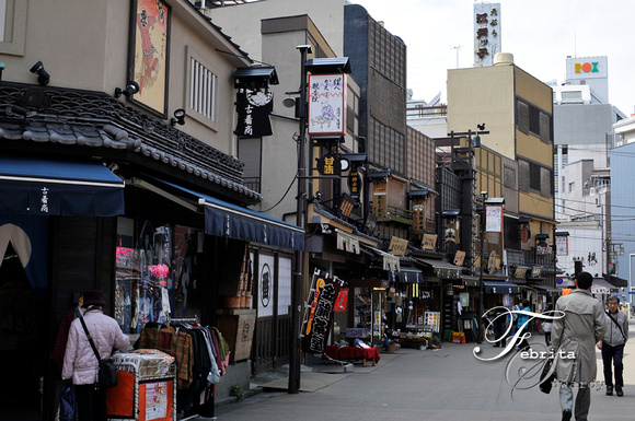 Old Edo Town